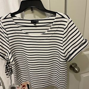 Express Large Top